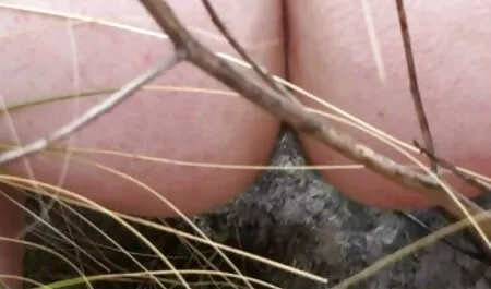 Un videos pornoscaseros mexicanos hombre negro puso cáncer en una chica y follar.