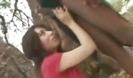 Oficina perdolit lesbianas mexicanas xxx minx.