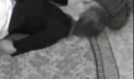 Chico lamiendo culo esposas mexicanas teniendo sexo y follando Pelirroja.